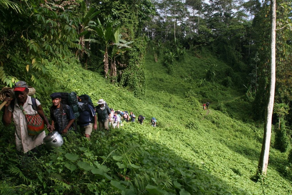 People walking the Kokoda Track near Deniki