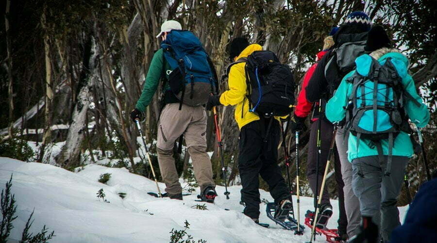 Read more about the article Mount Feathertop Razorback Winter Trek