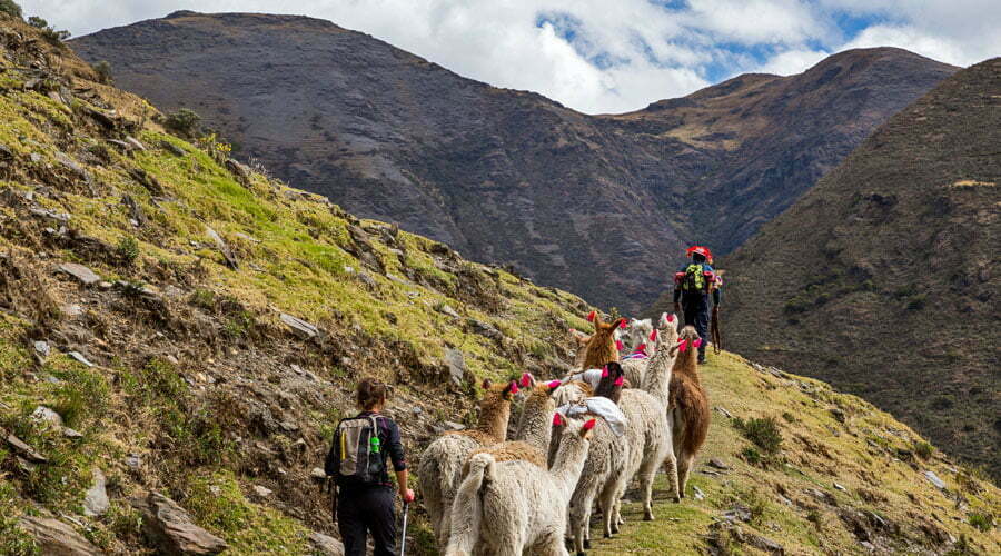 Read more about the article The Lares Trek to Machu Picchu