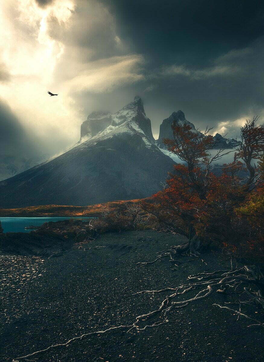Ultimate Patagonia W Trek